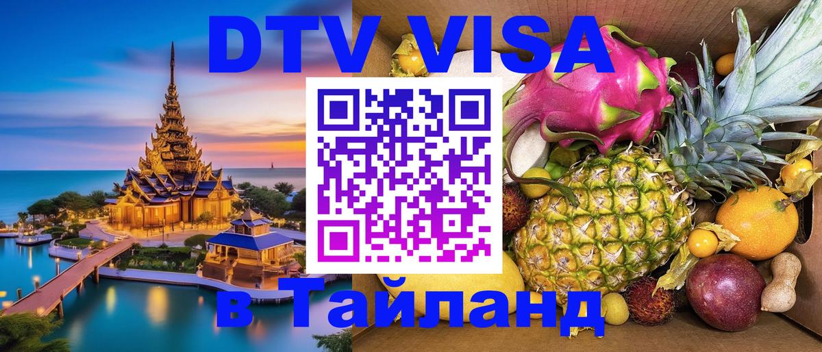 Оформление DTV визы под ключ: стоимость и тарифы, только загранпаспорт - Сараево  04.10.2025 